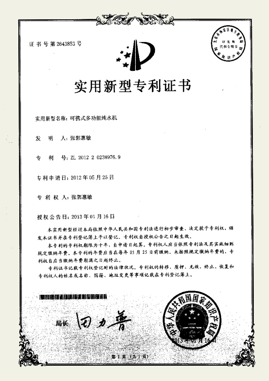 大陸實用新型專利
